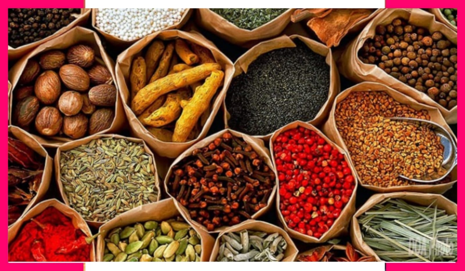 111 spice manufacturer licenses cancelled