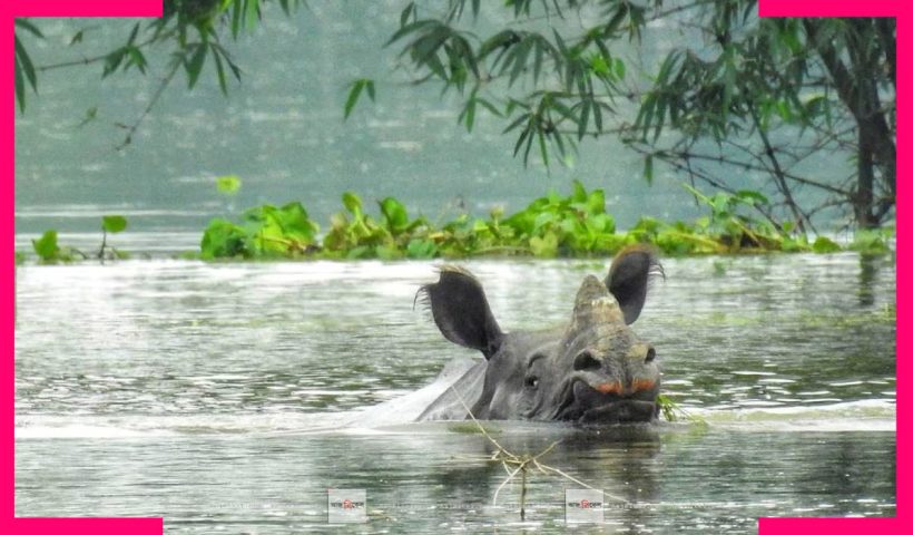 flood uddan