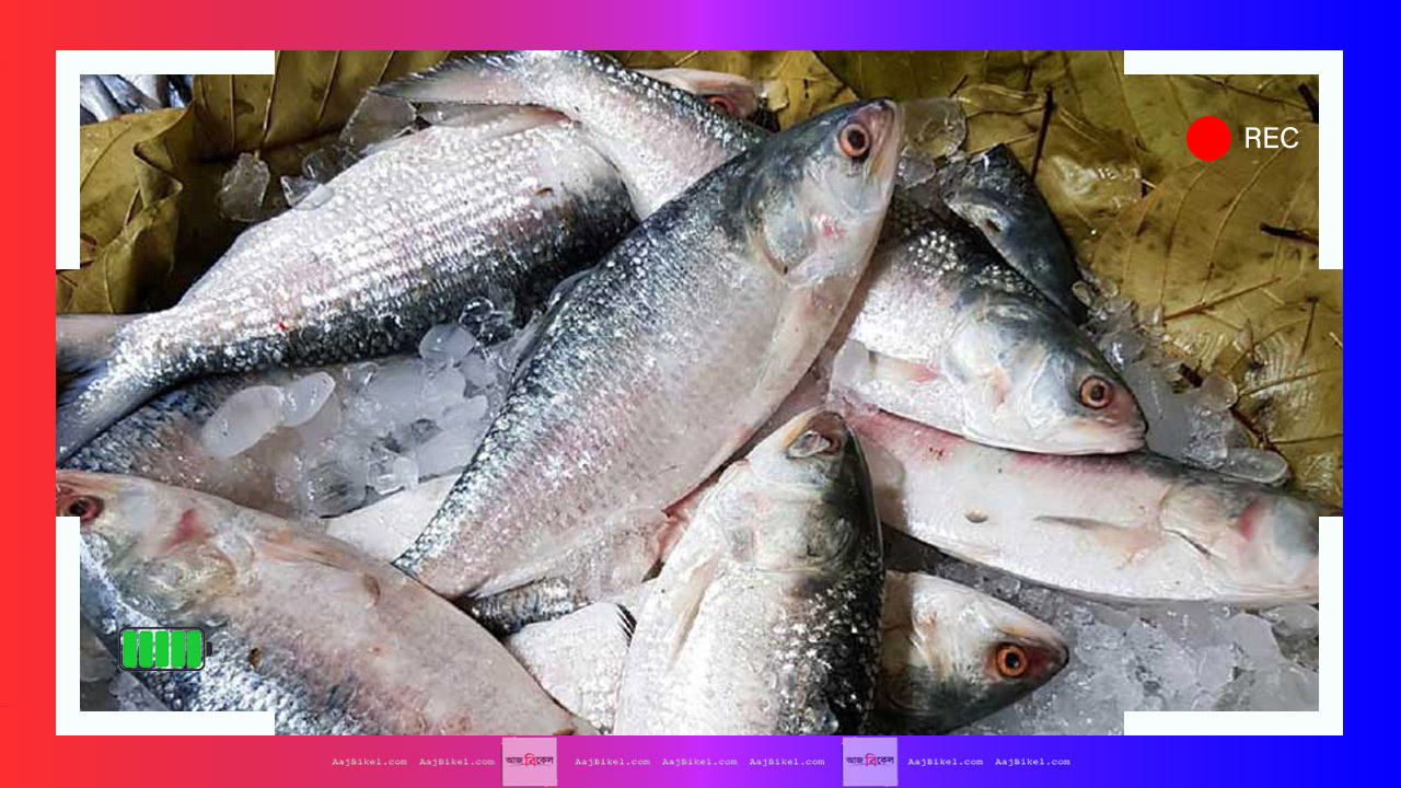 Bangladesh sending Hilsa