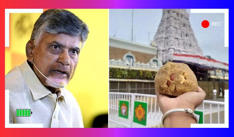 Tirupati Temple Laddu Animal Fat Tirupati Temple Laddu Animal Fat Controversy Tirupati Temple Tirupati Temple Laddu Animal Fat Controversy