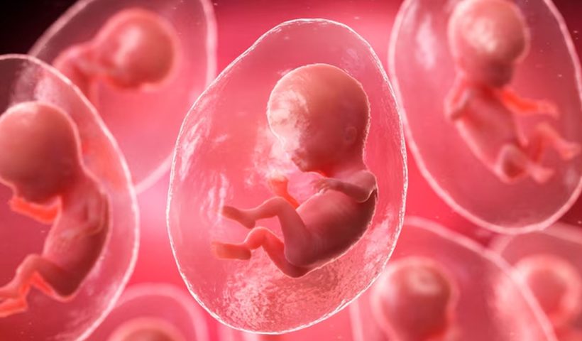 AI-driven IVF birth