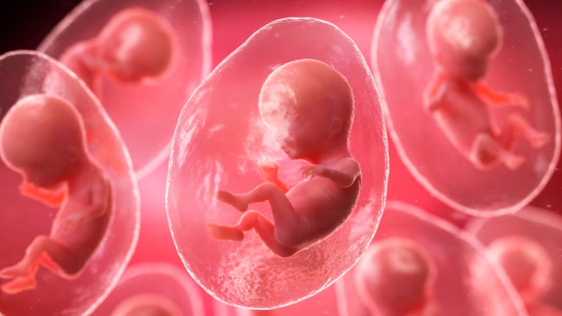 AI-driven IVF birth