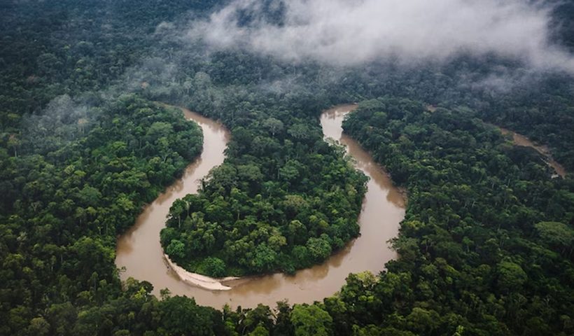 illegal gold mining in amazon