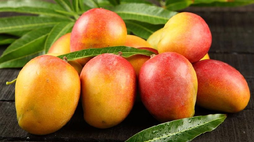 fake mango identification