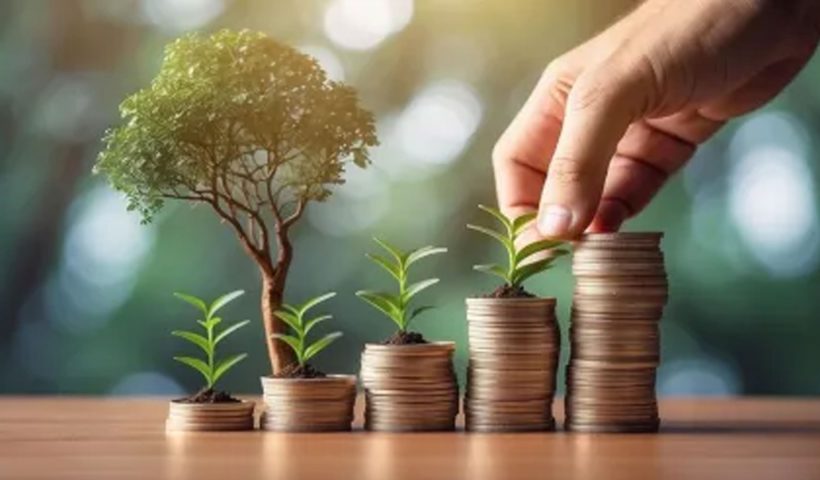 Large Cap Mutual Funds